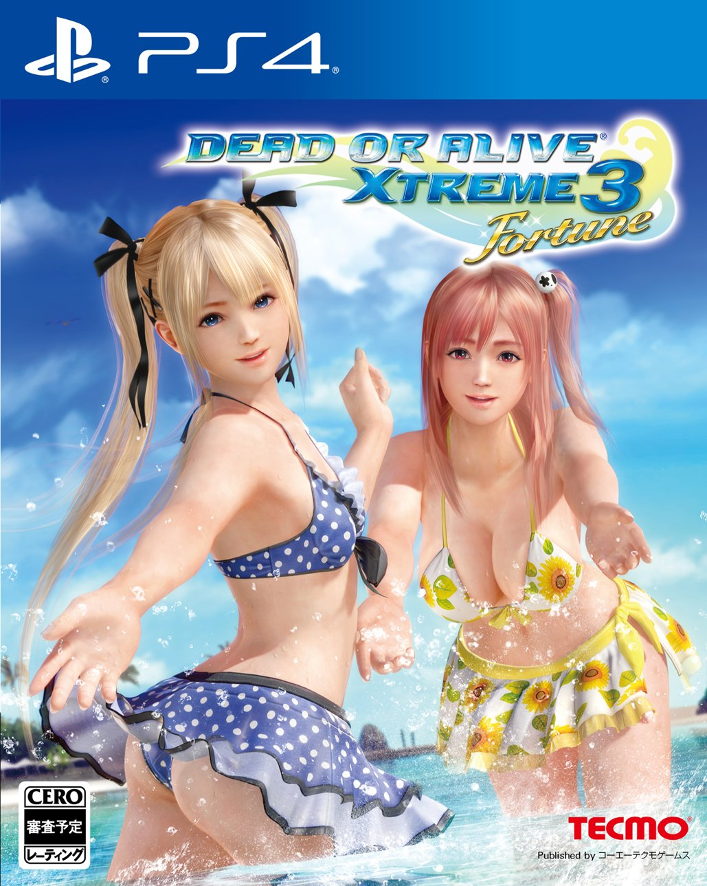 Dead or Alive (mostly Marie Rose/Kasumi)