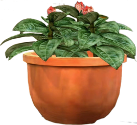 Dead rising Potted Plant