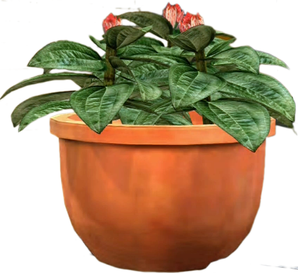 potted flower png