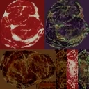 Meats.jpg (20 KB) Texture of model from the Xbox 360 game files