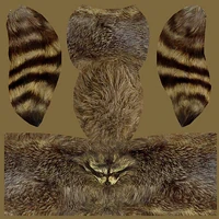 Skin of Wild Frontier Hat from PC game files