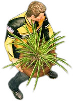 Chuck holding a large potted plant