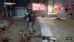 Talk to Cora 5.jpg (358 KB)