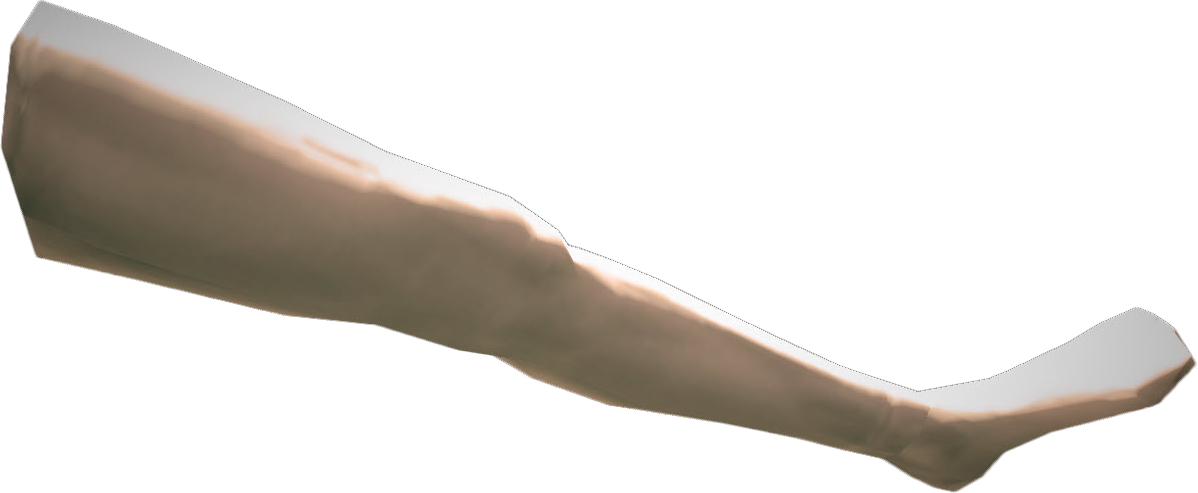 Mannequin Female Left Leg, Dead Rising Wiki