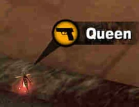 Queencropped1.jpg (3 KB)