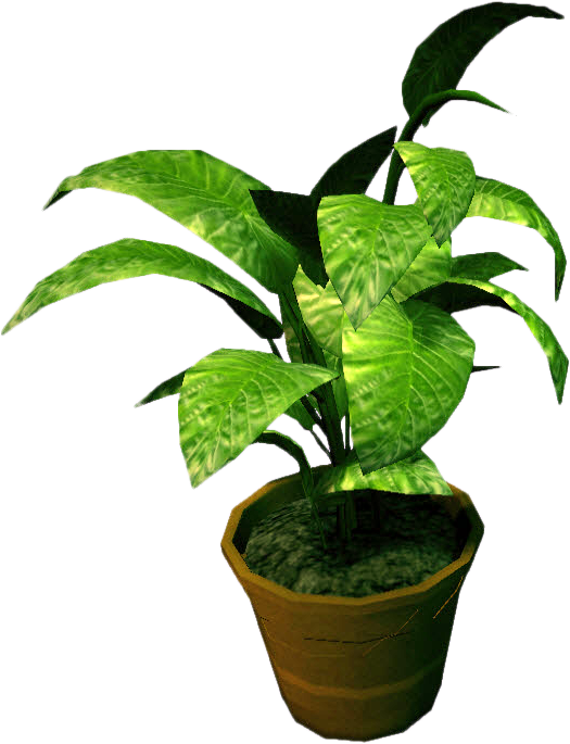 potted flower png