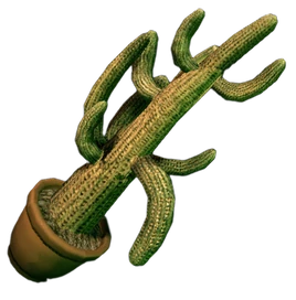 Dead rising Cactus Plant
