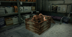 Dead rising cultist hideout (2)