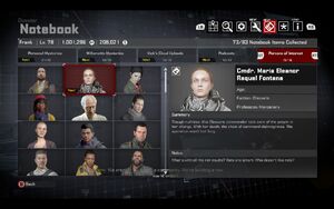 Fontana's Person of Interest Profile