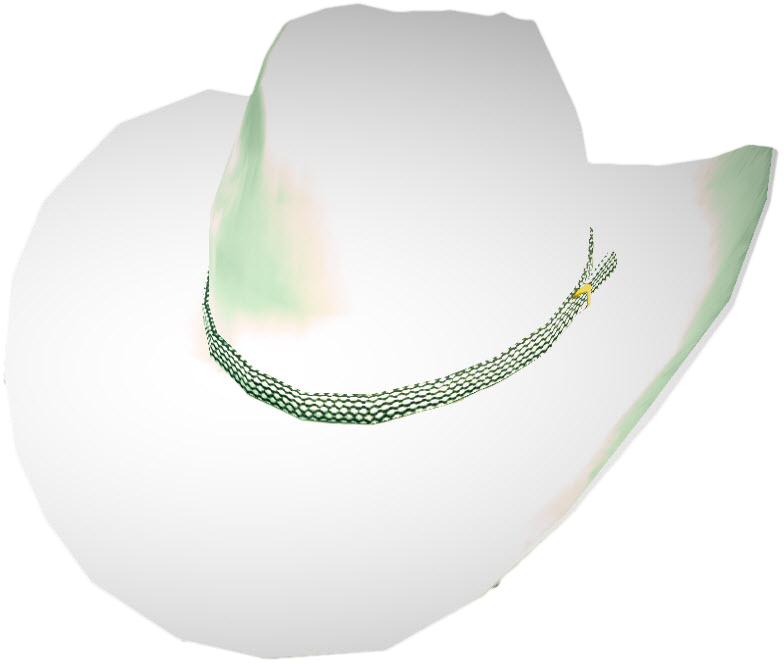 Tourist Boat Hat, Dead Rising Wiki