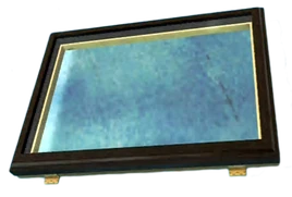 Dead rising Skylight