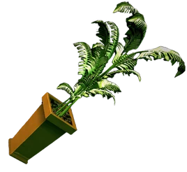 Dead rising Large Fern Tree