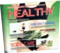 Dead rising Health 2.png (147 KB)