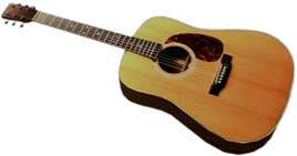 Dead rising Acoustic Guitar