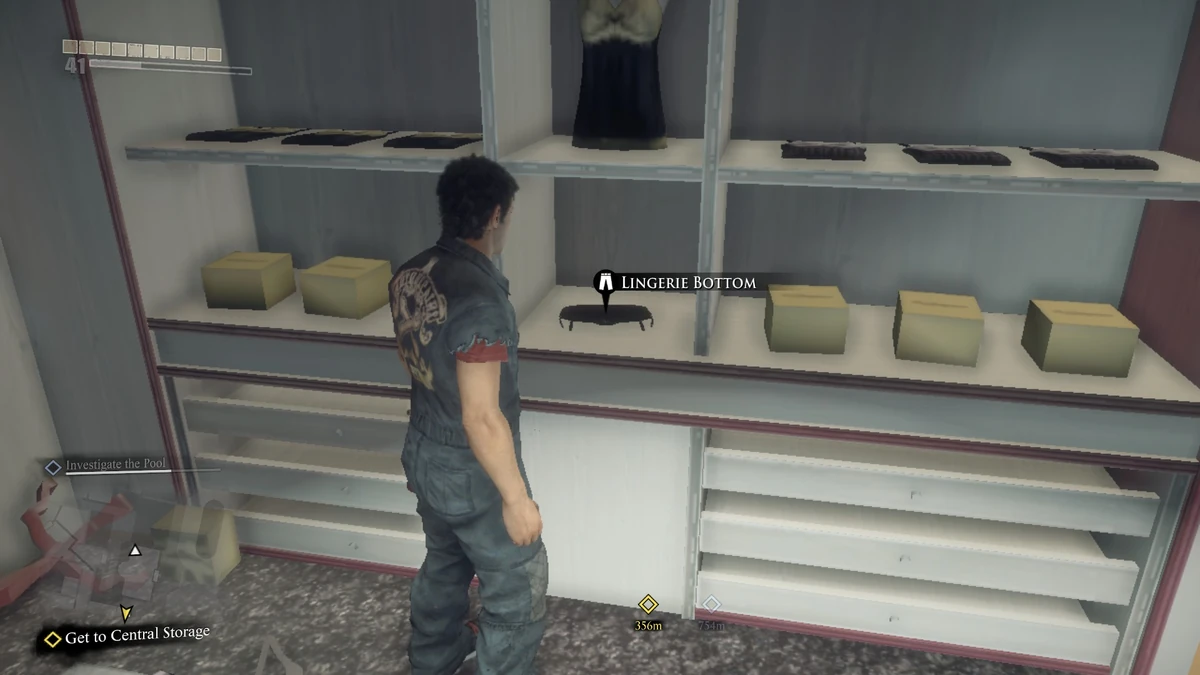 Lingerie Outfit Dead Rising Wiki Fandom
