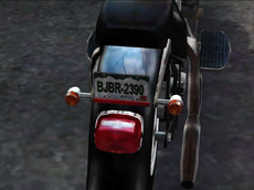 Dead rising license plate (3)