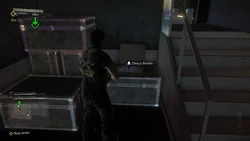 Disco Pants Bibi's Box.jpg (203 KB) Bibi's Box