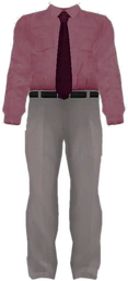 Dead rising Pink Paparazzi Outfit