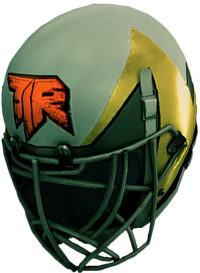 Dead rising TIR Helmet