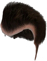 Dead rising Frank's Default Hair with scalp