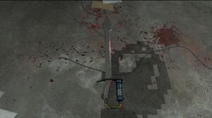 The Ice Sword on its unfrozen state, after dropping on the ground.