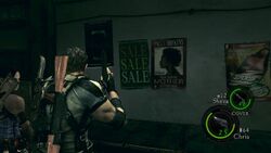 RE5PaulaHopkins