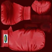 Skin of boxing gloves from PC game files