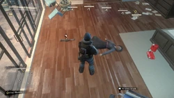 Meryl's corpse after she passes away.