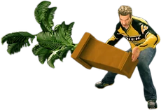 Dead rising large fern tree main