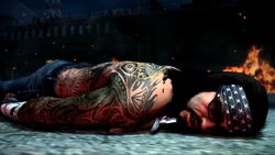 Defeat Spider 15.jpg (247 KB) Spider's corpse.