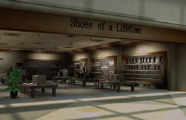 Shoes of a Lifetime