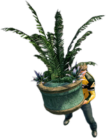 Chuck holding a large planter