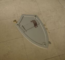 The back of the shield