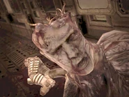 Close up.jpg (102 KB) The face of a Marine Twitcher.