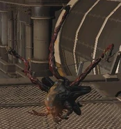 Enhanced Lurker.png (196 KB) Ditto.