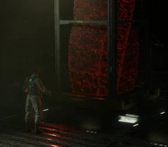  begs the Marker to initiate a , to no avail.