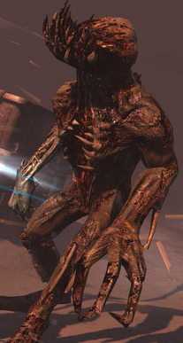 Awakened Stalker