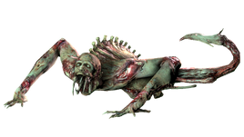 DS1/DS2