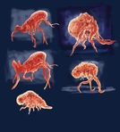 Early concept art of Swarmers.