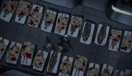 Morgue