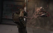 Dead-Space-2008-10-25-18-30-55-51.png (794 KB) A Guardian decapitating Isaac.