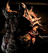 Guardian maduro.jpg (48 KB) A mature Guardian in the original game.