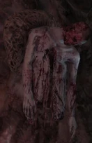 unvollständiger Wächter, DS1