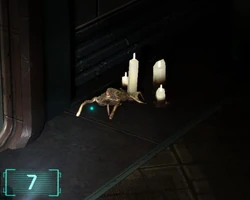 Личинка, хоботок вытянут (DS2)