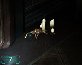 A Swarmer with proboscis extended.