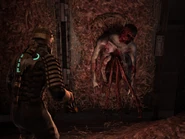 Afua.png (707 KB) An immature Guardian in the original game.