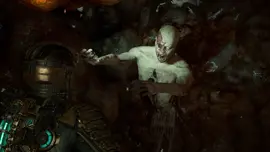 DSR Immature Guardian