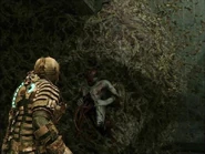 Immature Guardian.jpg (209 KB) Example of the Corruption's symbiosis.