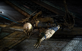 Another Leaper variant on Tau Volantis.