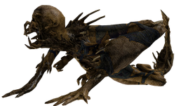 DS3